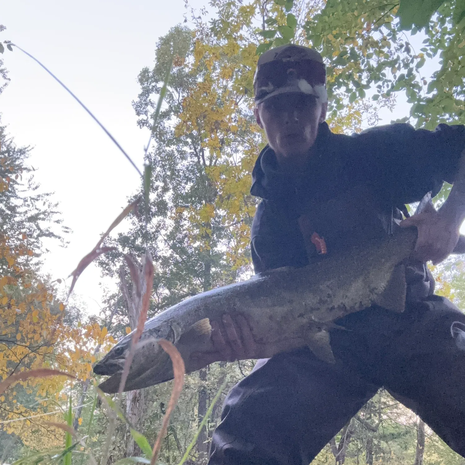 Chinook salmon caught on Fishbrain