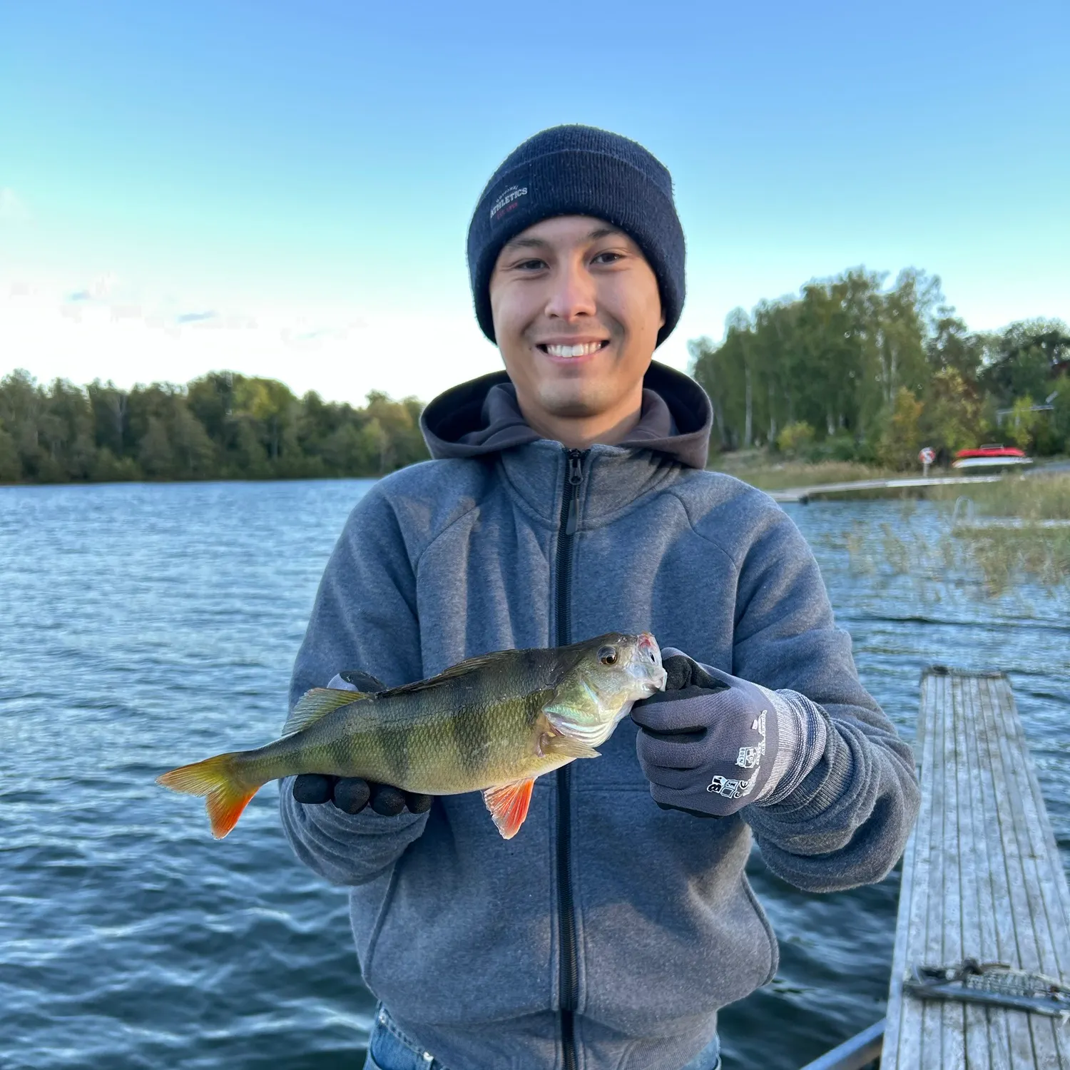 European perch caught on Fishbrain