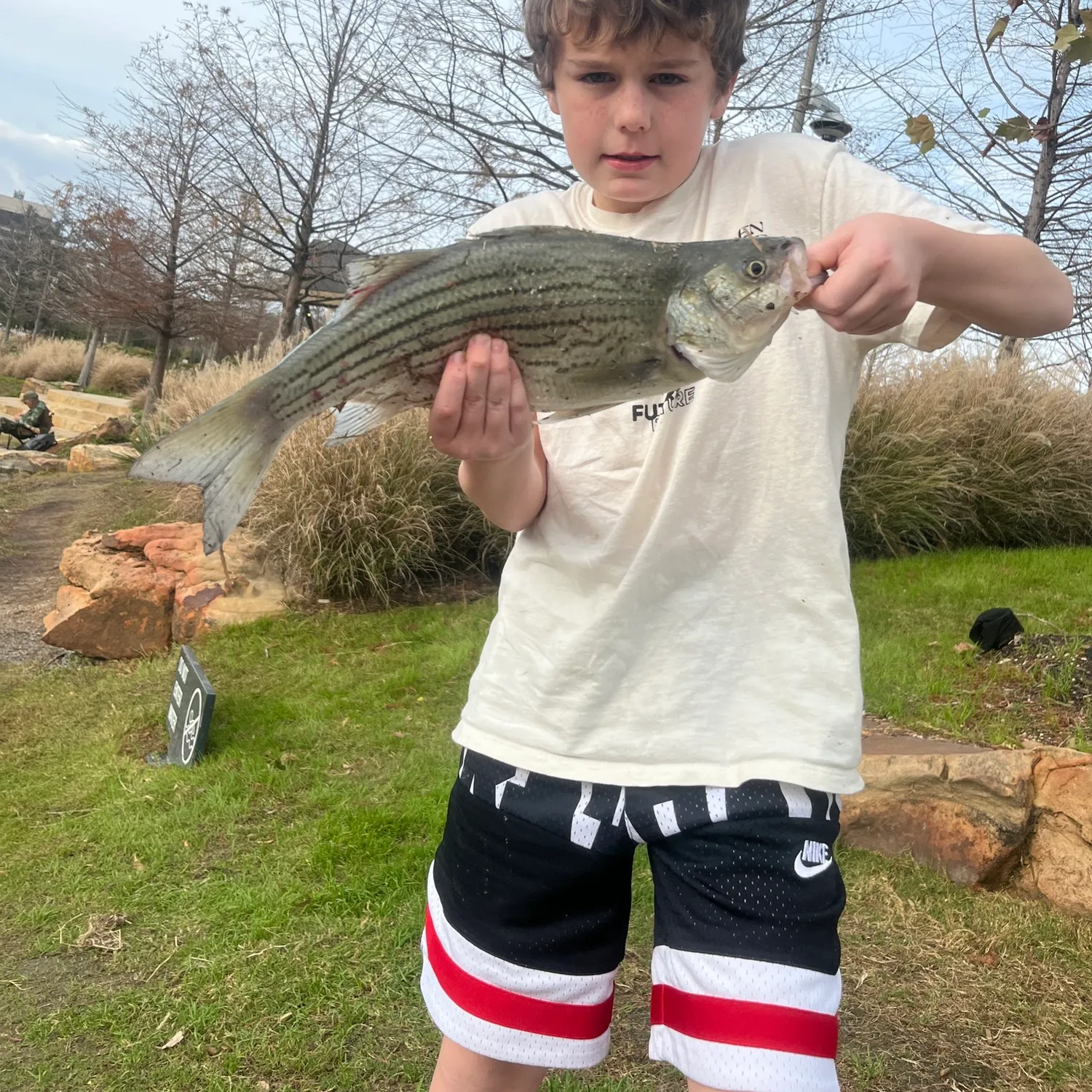 The most recent Hybrid striped bass catches on Fishbrain