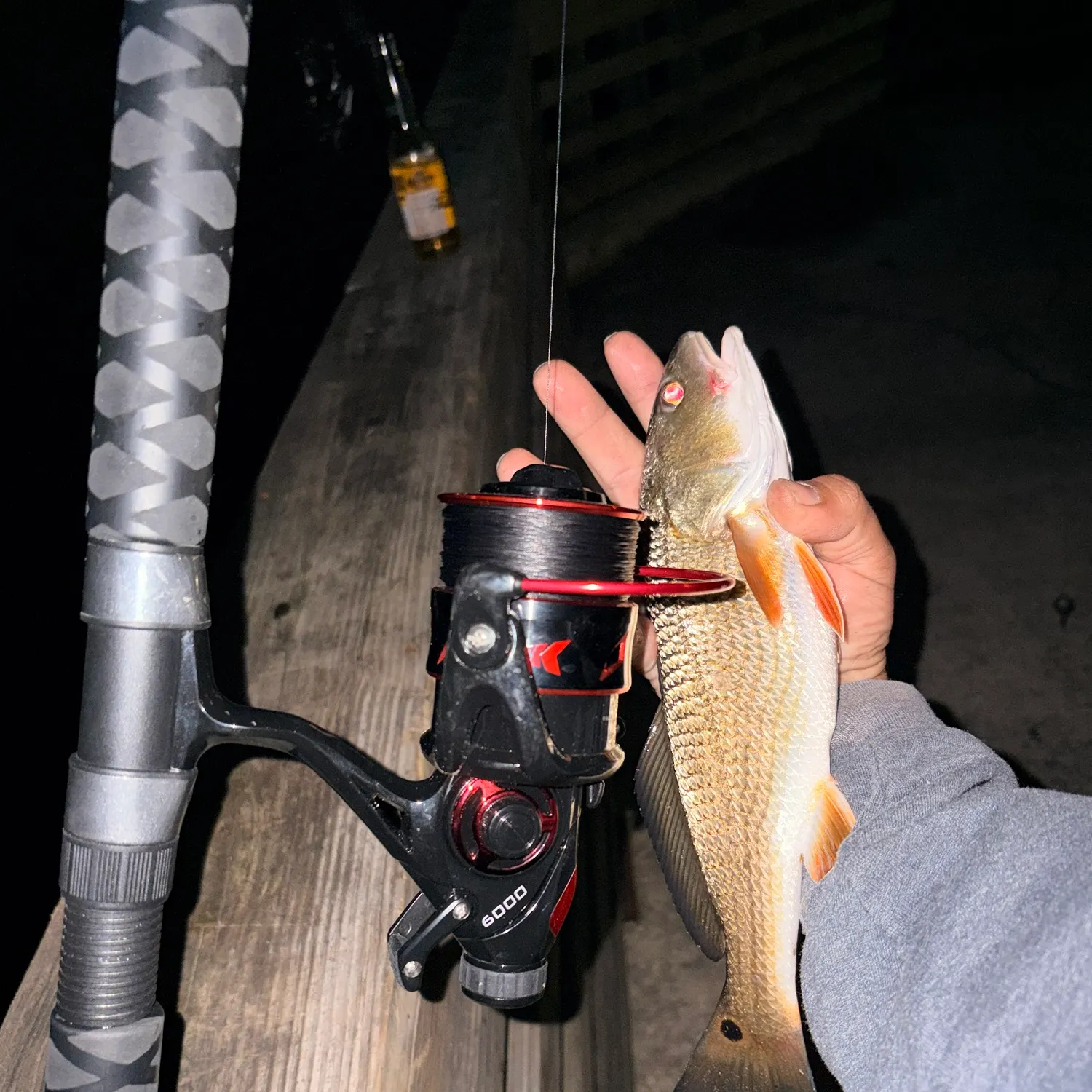 Red drum caught on Fishbrain