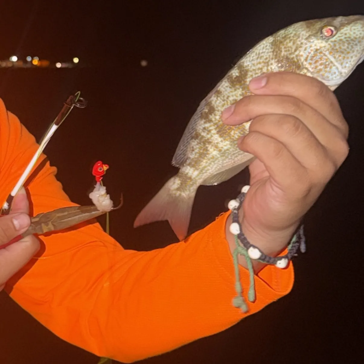 Black drum caught on Fishbrain