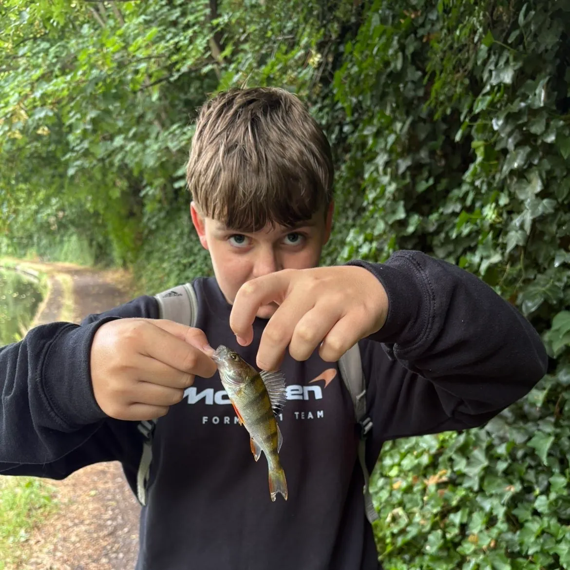 European perch caught on Fishbrain
