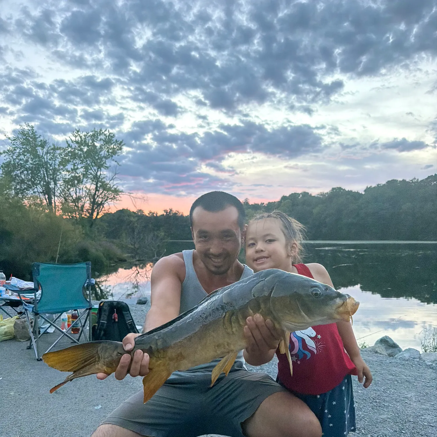 Mirror carp caught on Fishbrain