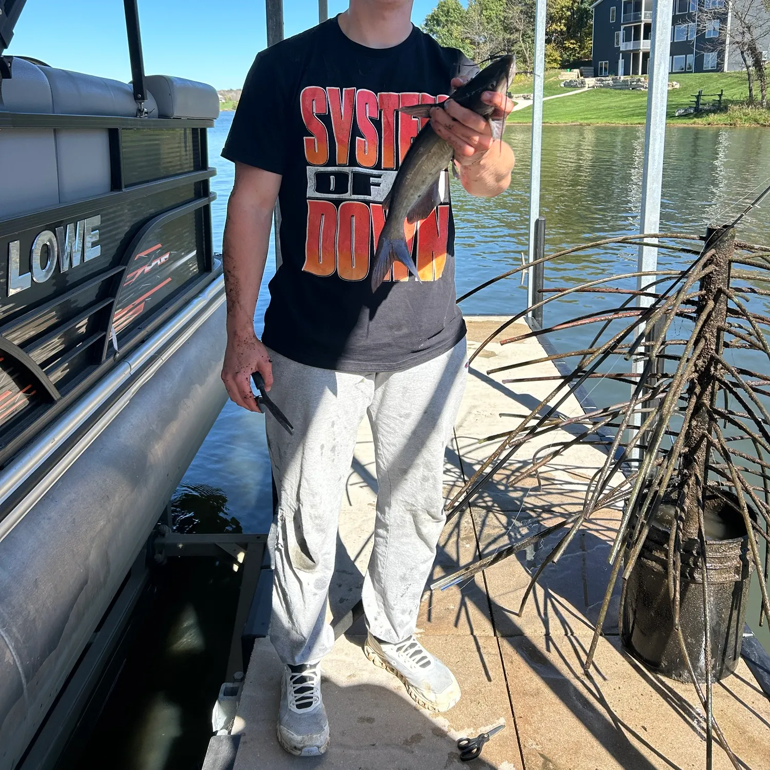 Channel catfish caught on Fishbrain