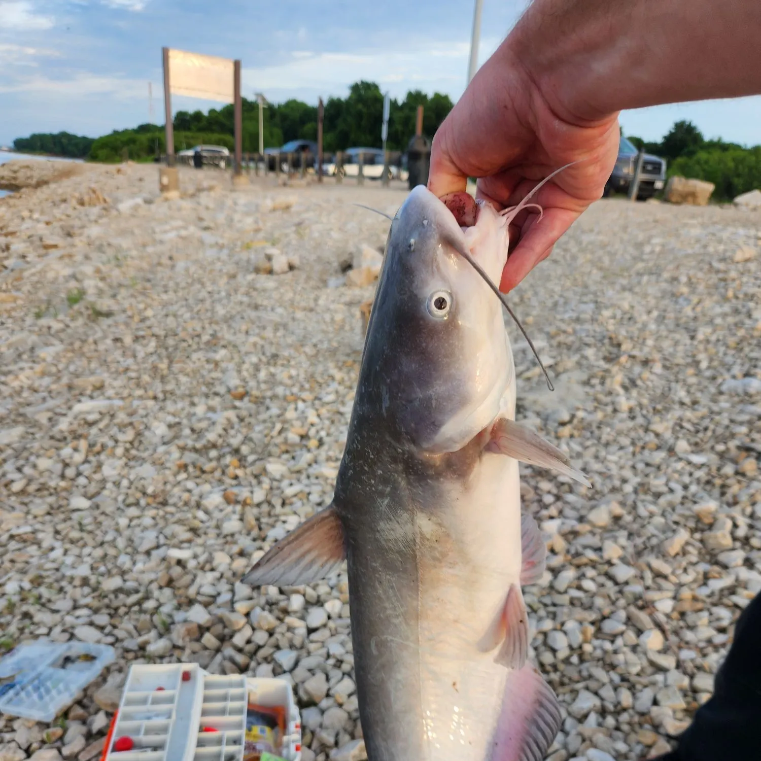 catch