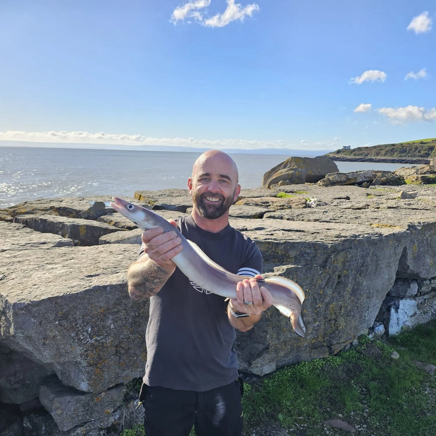 The most recent European conger catches on Fishbrain