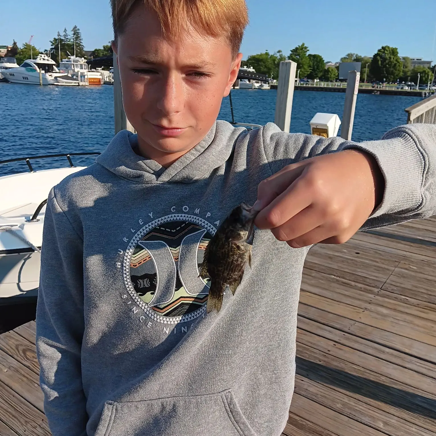 recently logged catches