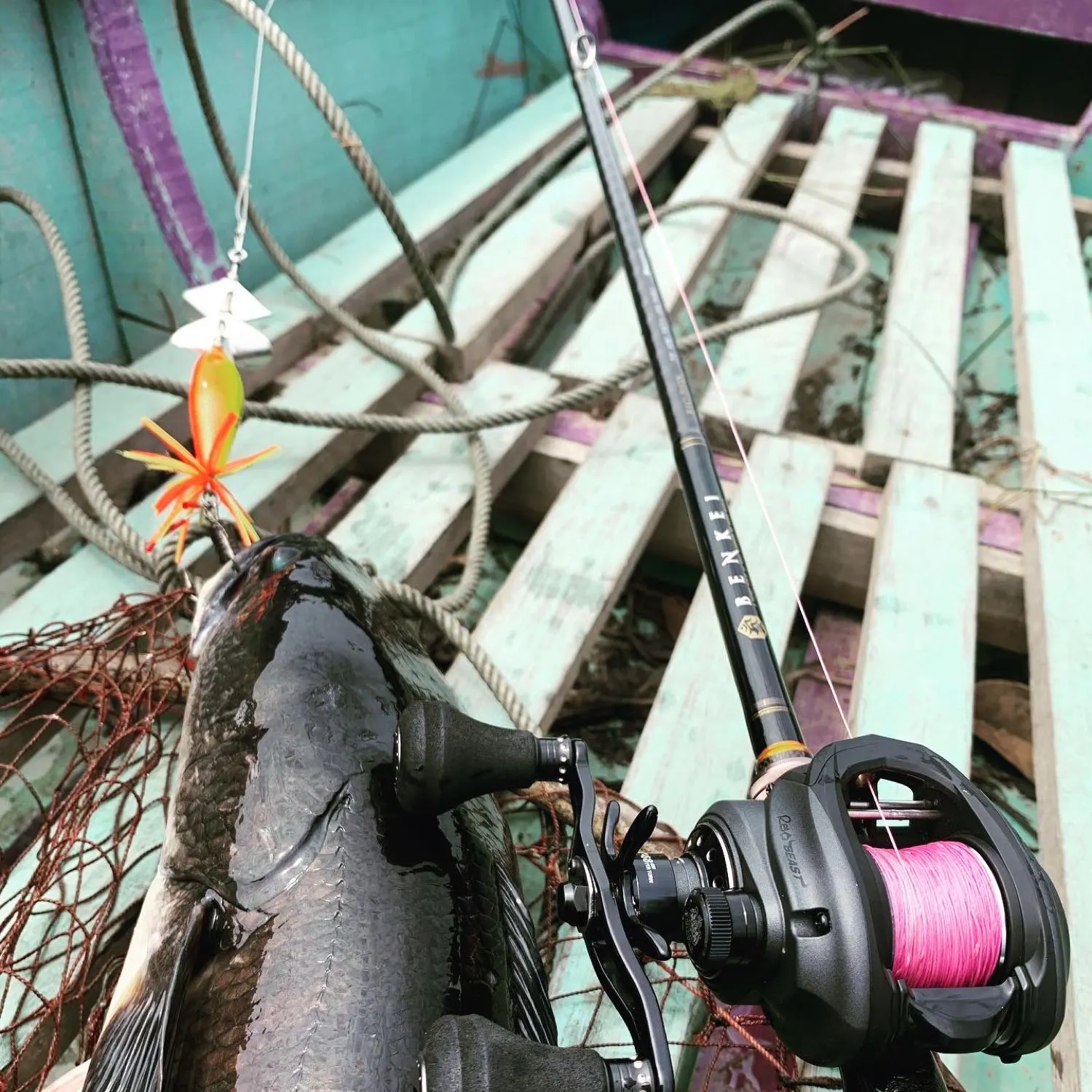 recently logged catches