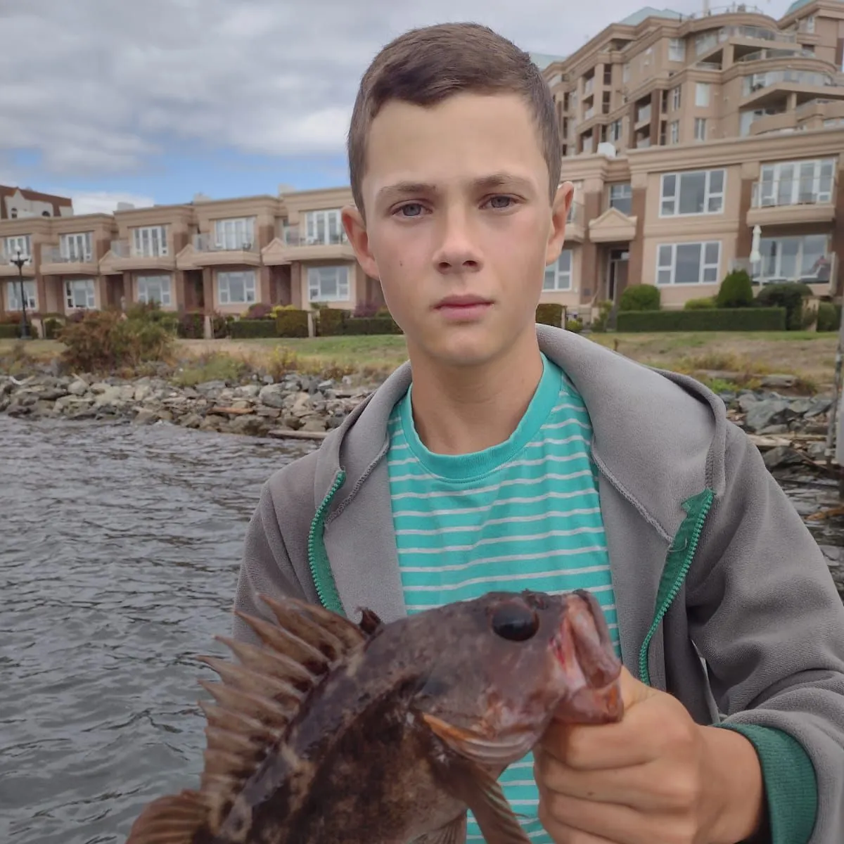 The most recent Brown rockfish catches on Fishbrain