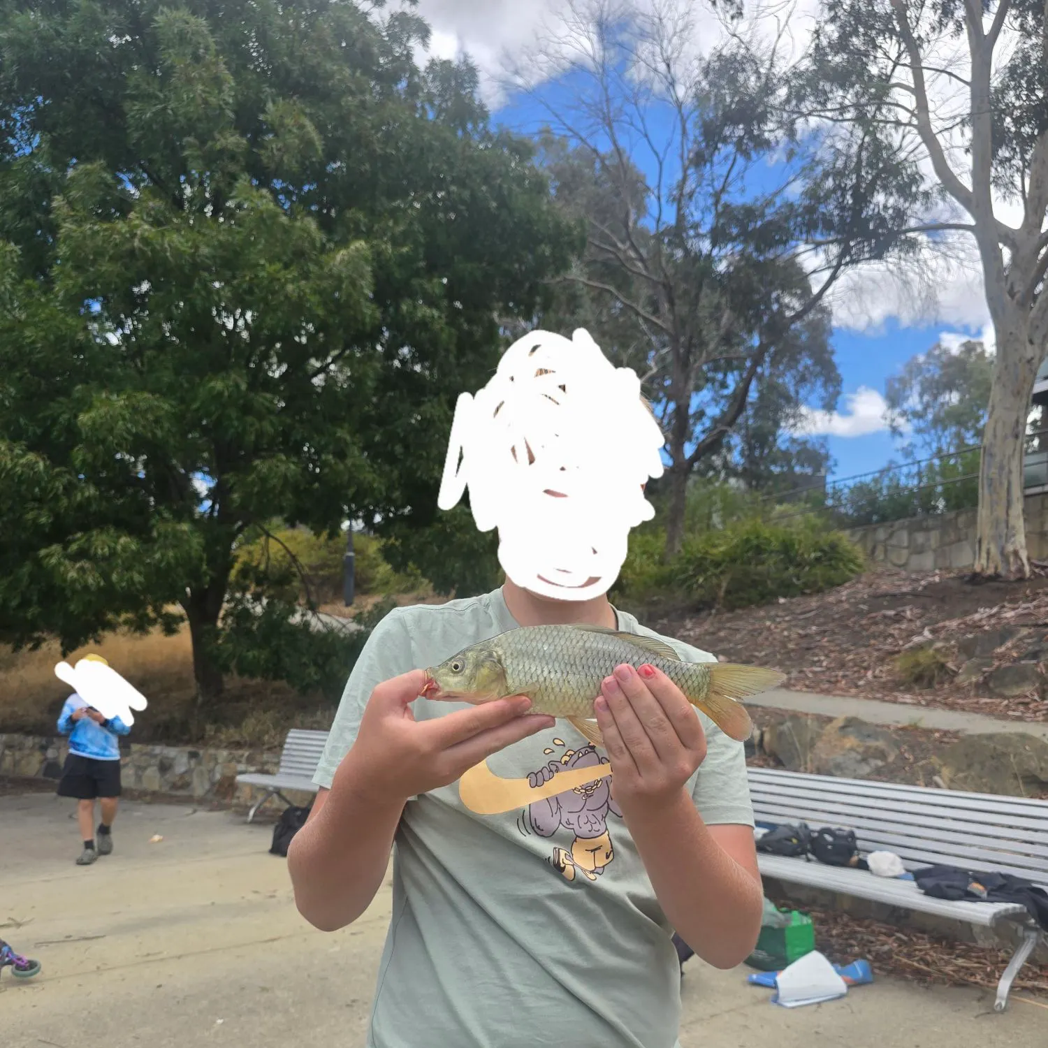 Common carp caught on Fishbrain