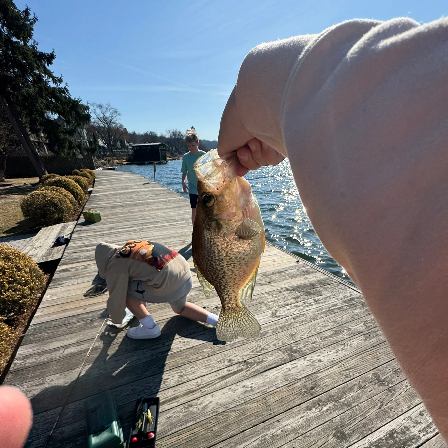 catch
