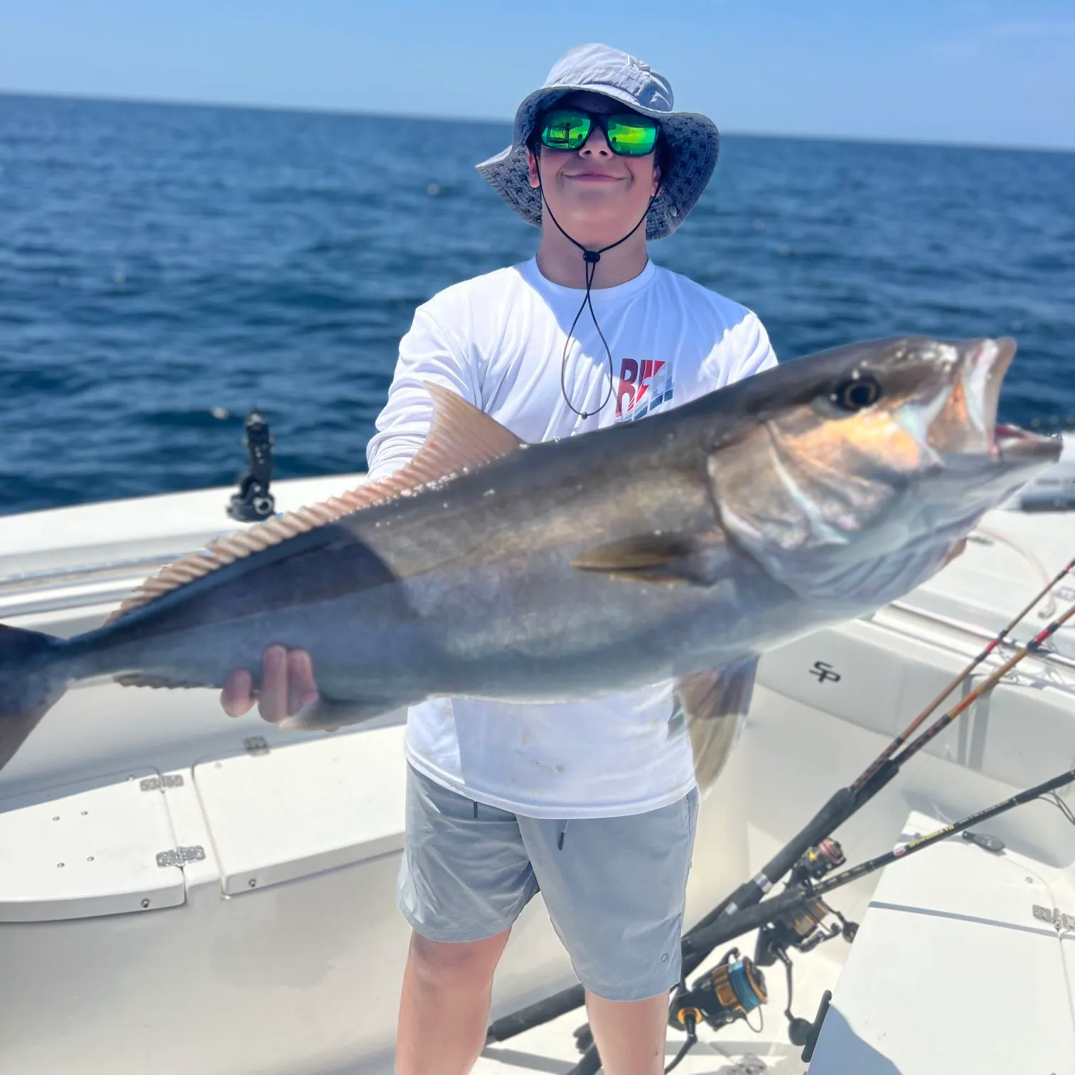 The most recent Japanese amberjack catches on Fishbrain