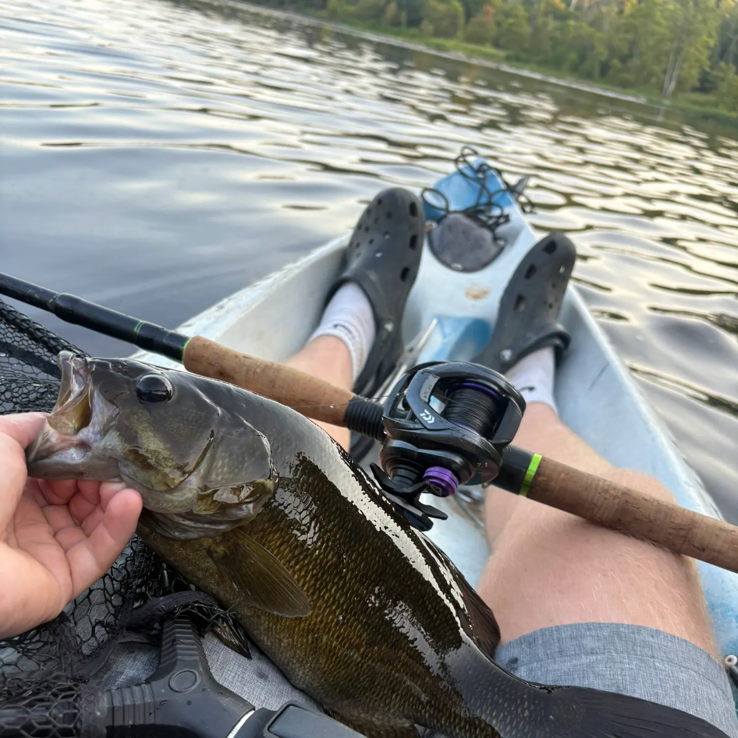 Smallmouth bass caught on Fishbrain