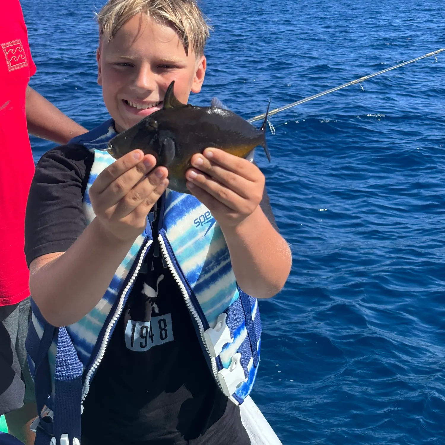 The most recent Ocean triggerfish catches on Fishbrain