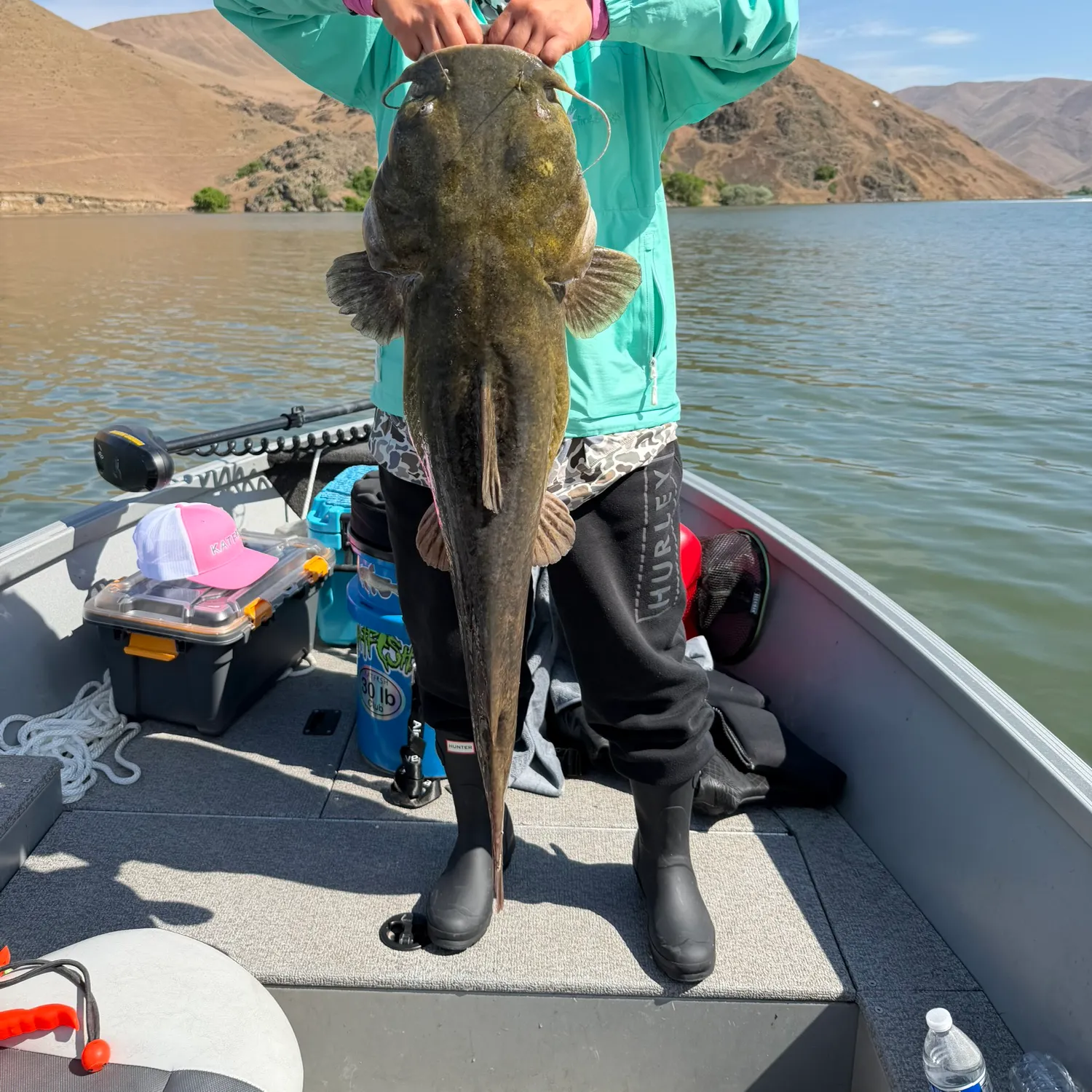 The most recent Flathead catfish catches on Fishbrain