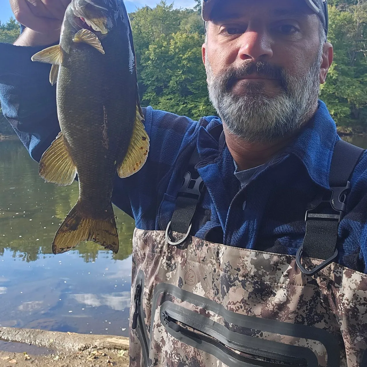 Smallmouth bass caught on Fishbrain
