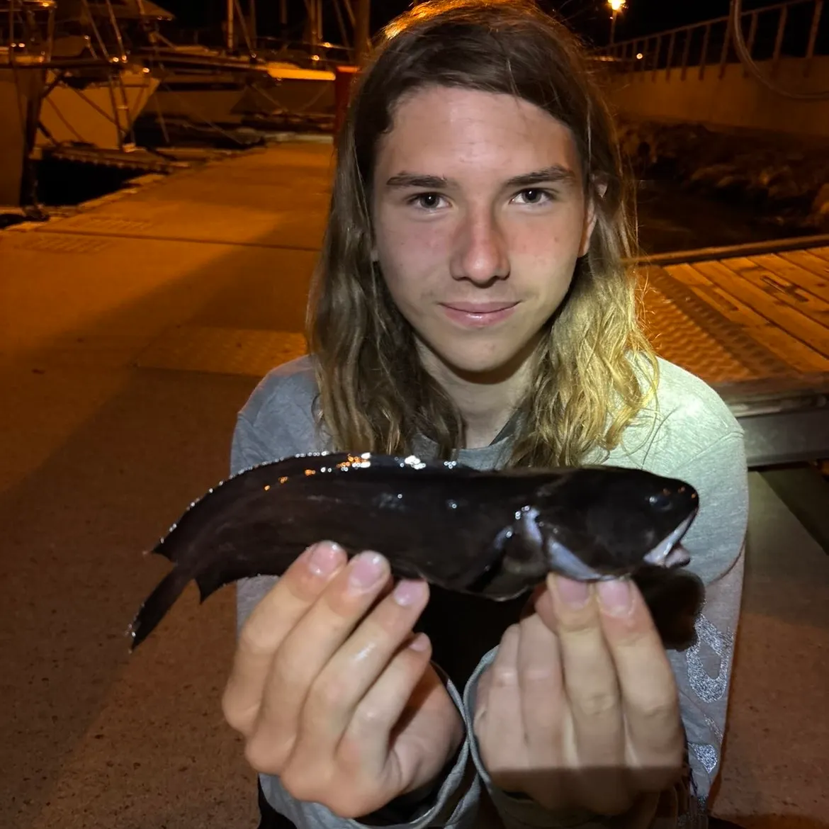 The most recent Tadpole fish catches on Fishbrain