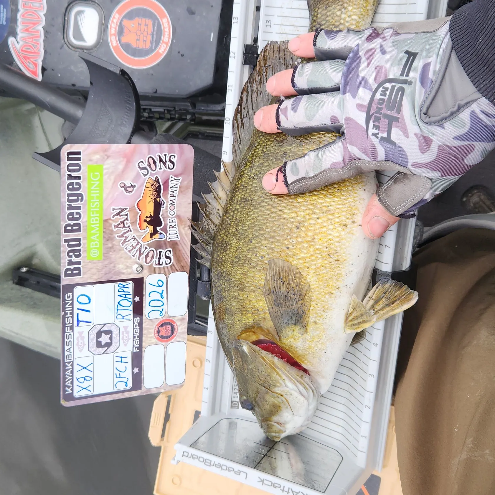 recently logged catches