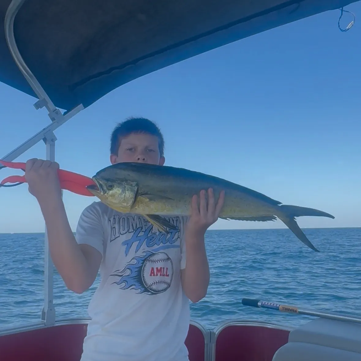 Common dolphinfish caught on Fishbrain
