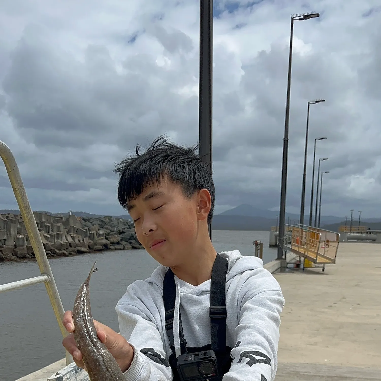 The most recent Blue-spotted flathead catches on Fishbrain