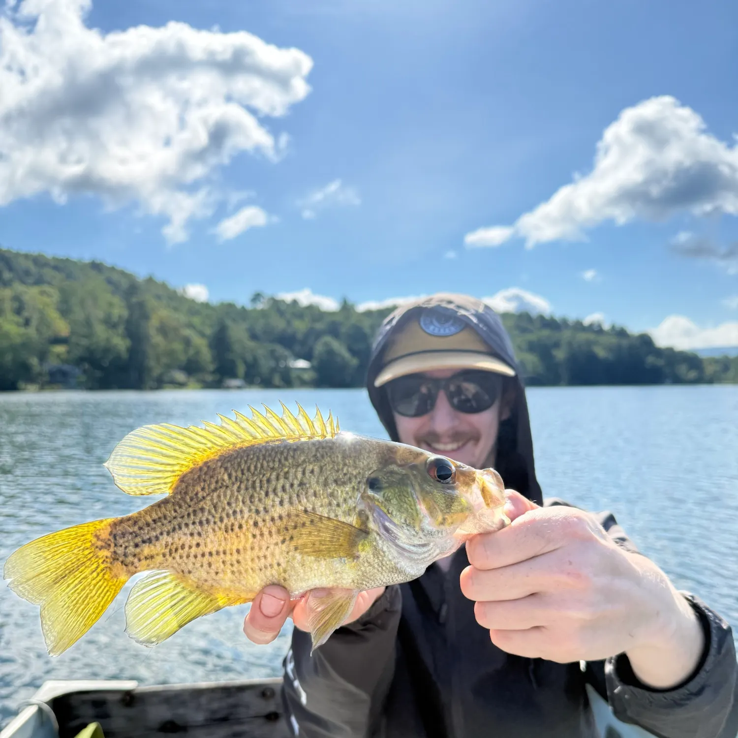 Rock bass caught on Fishbrain