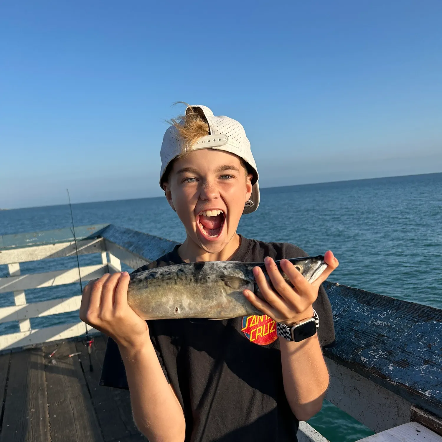 The most popular recent Blue mackerel catch on Fishbrain