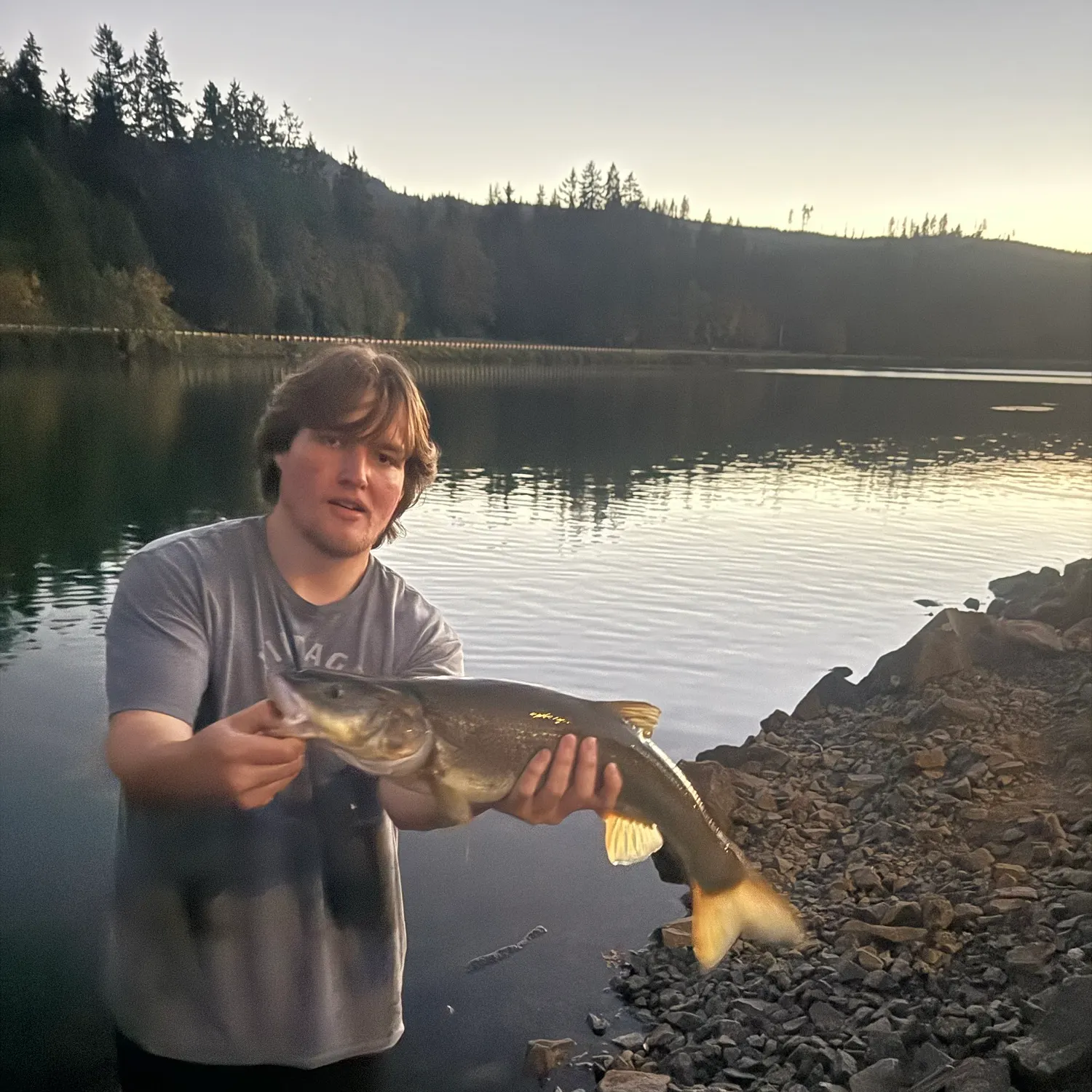 Northern pikeminnow caught on Fishbrain