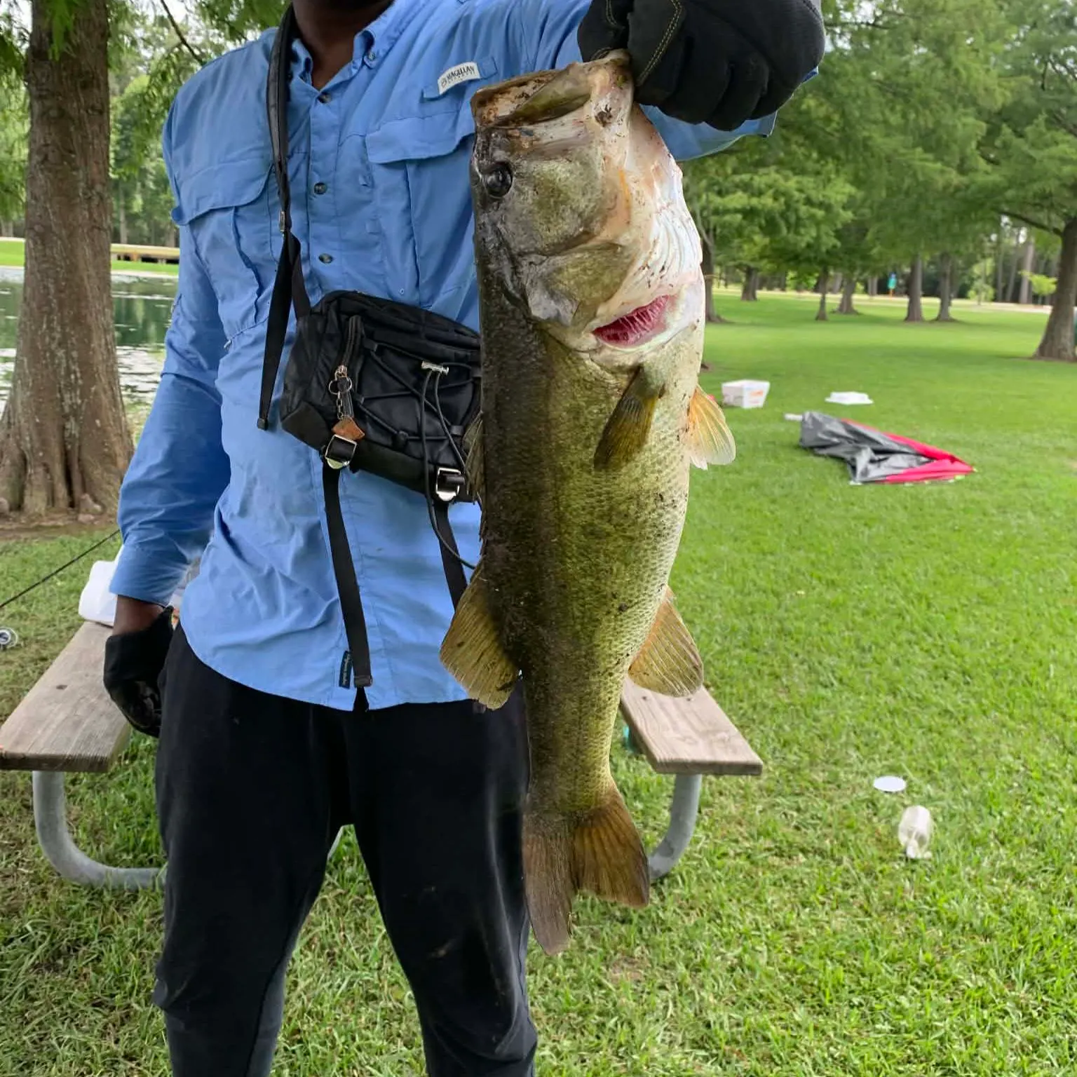 catch