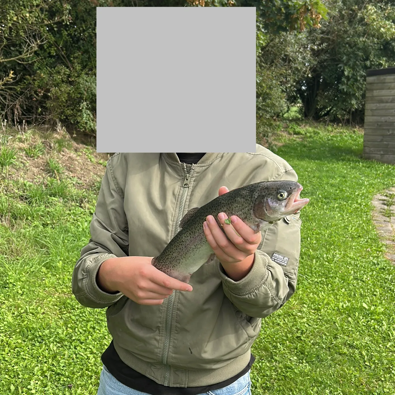 Rainbow trout caught on Fishbrain