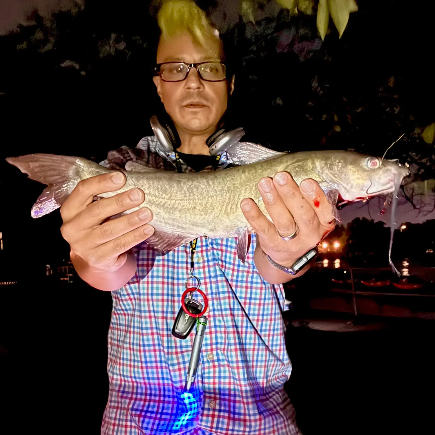 Blue catfish caught on Fishbrain