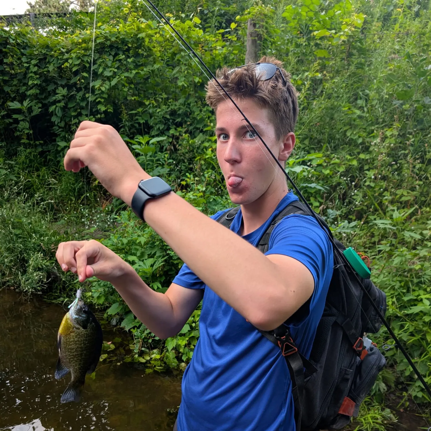 recently logged catches