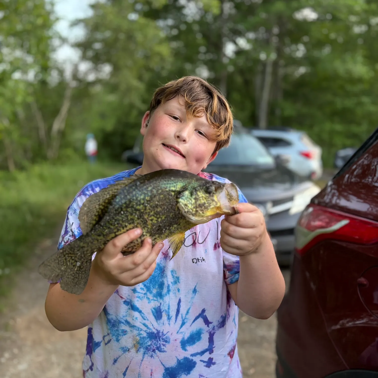 The most recent Black crappie catches on Fishbrain