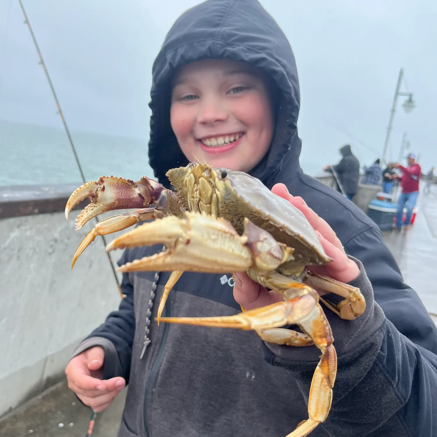 The most recent Southern calamari catches on Fishbrain