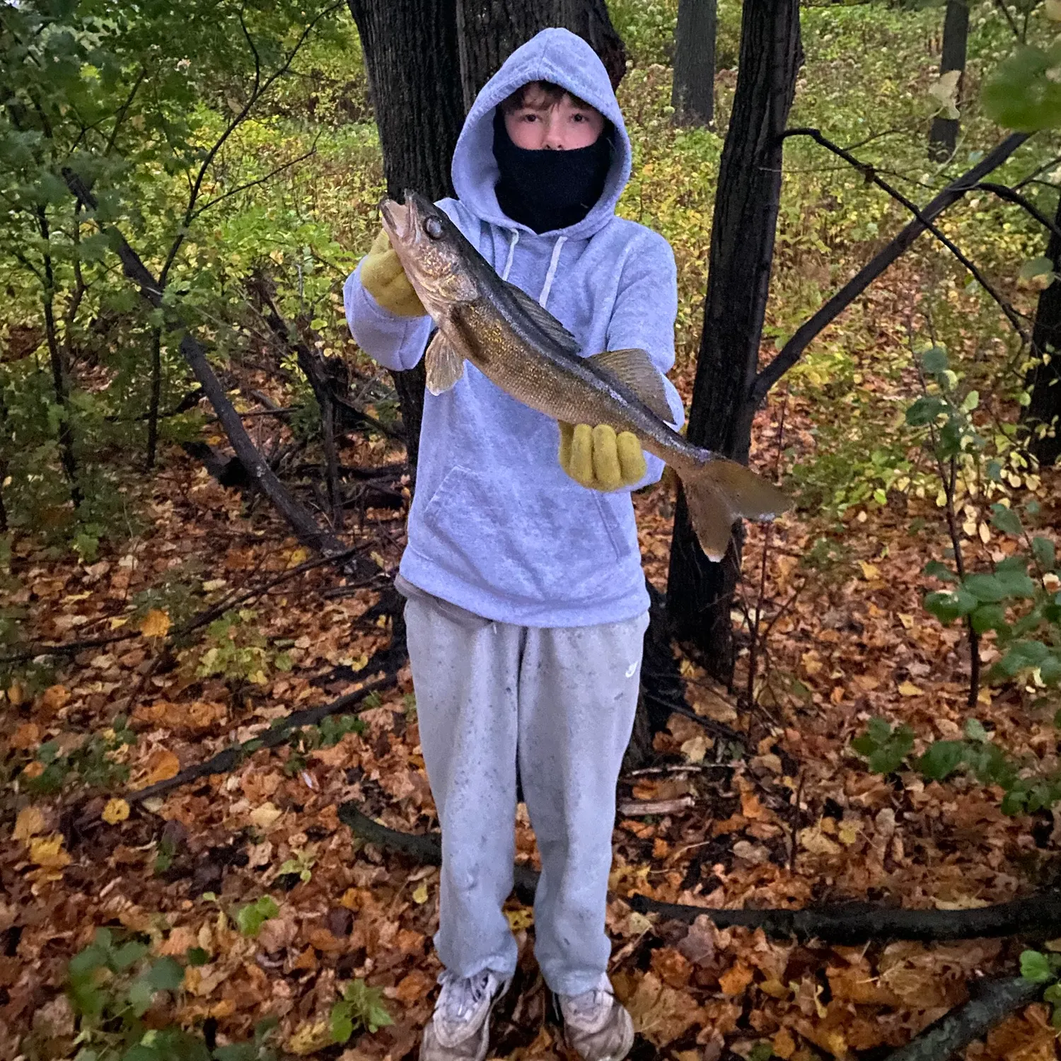 Walleye caught on Fishbrain