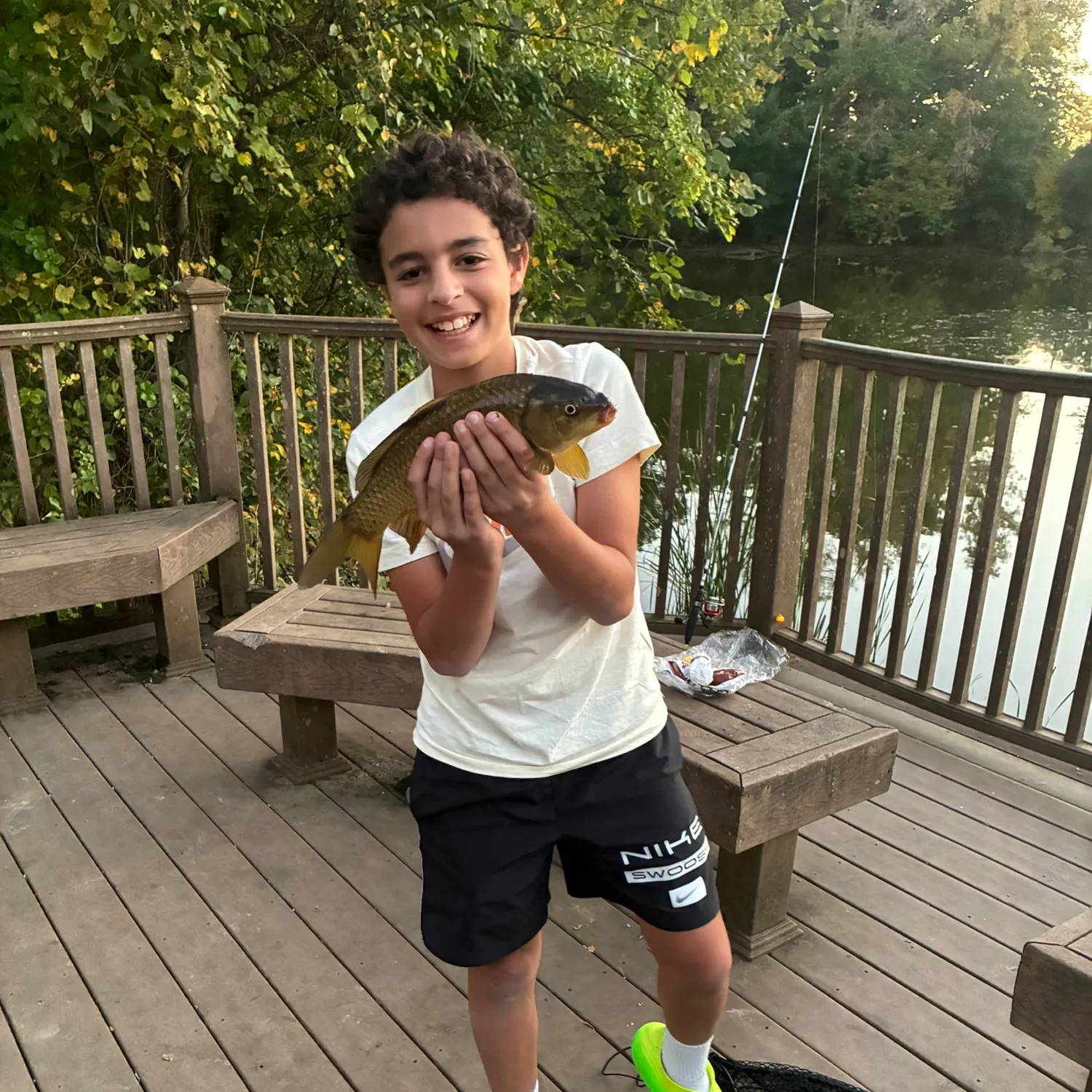 Common carp caught on Fishbrain