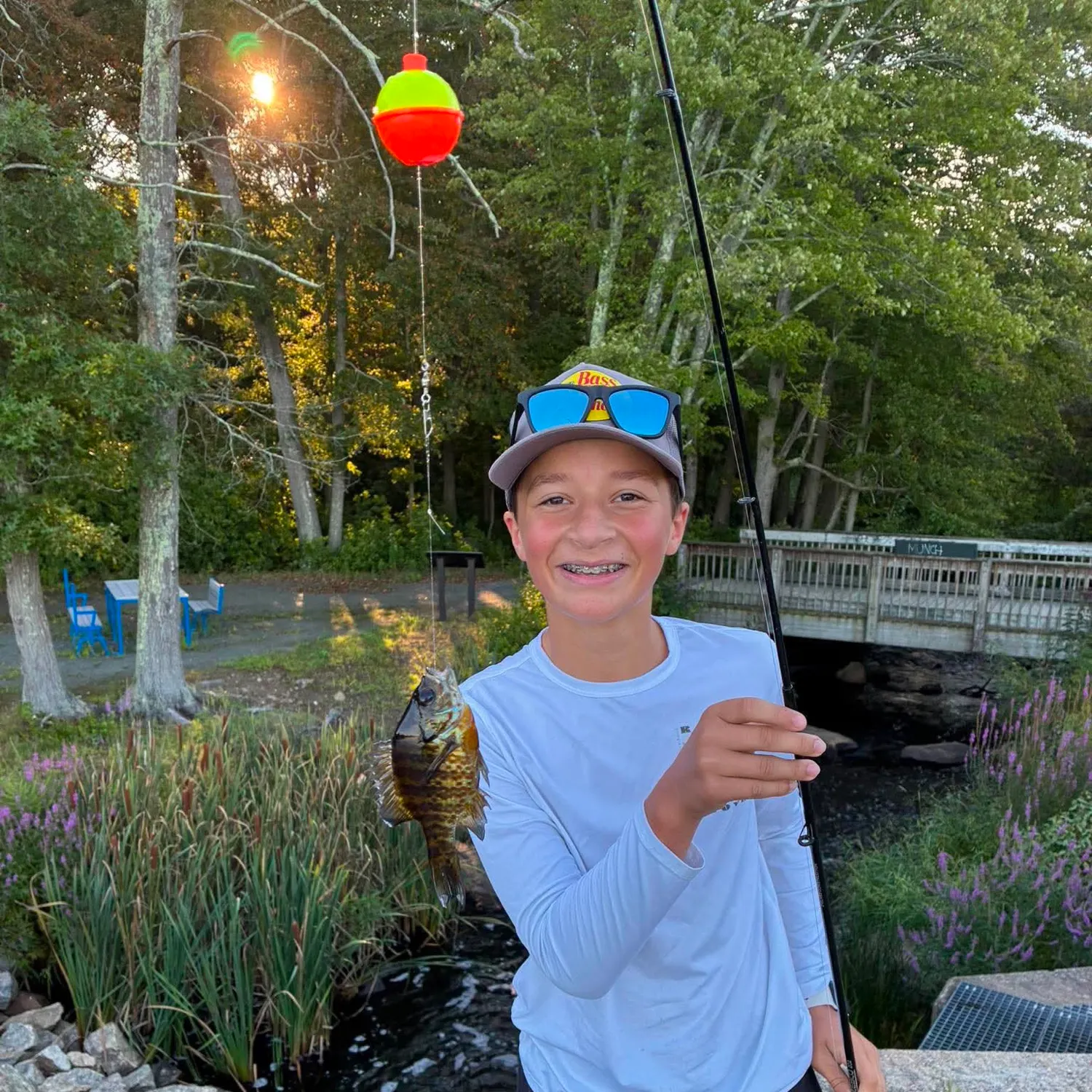 Bluegill caught on Fishbrain