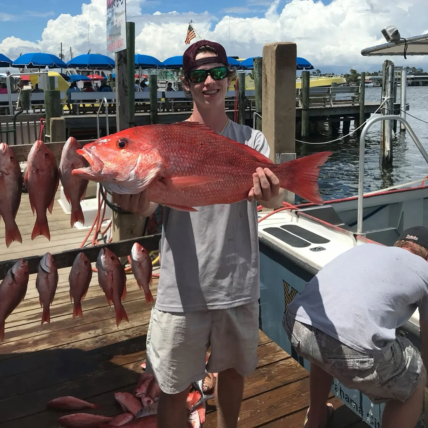 Northern red snapper caught on Fishbrain