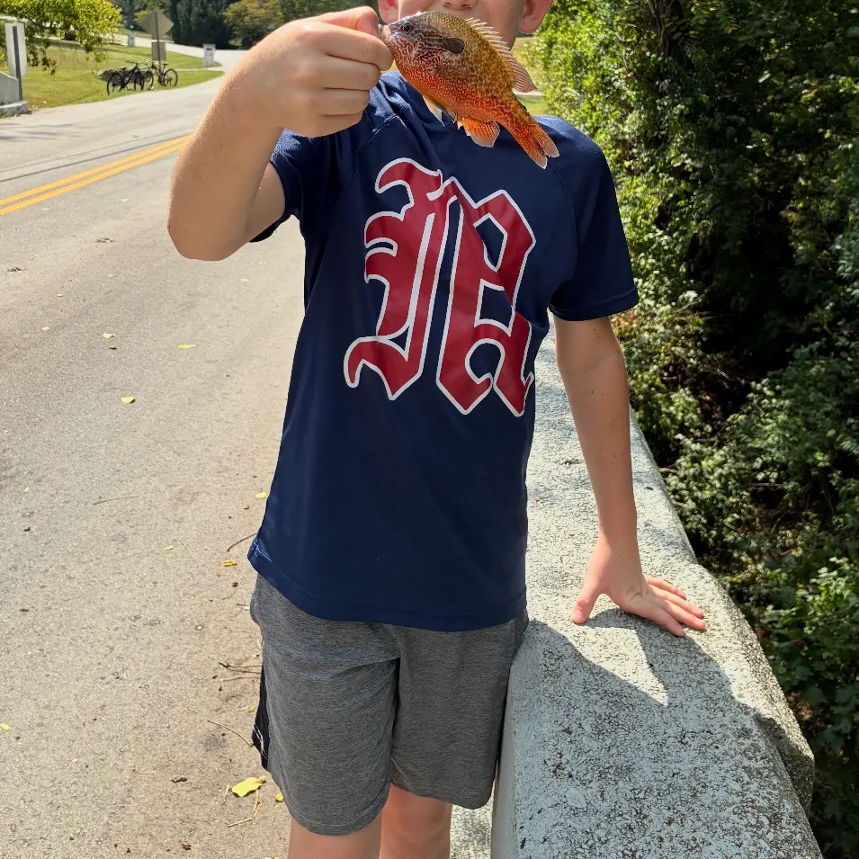 Longear sunfish caught on Fishbrain