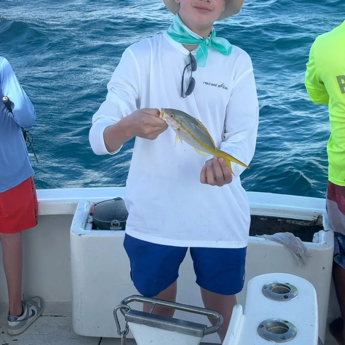 The most recent Yellowtail snapper catches on Fishbrain