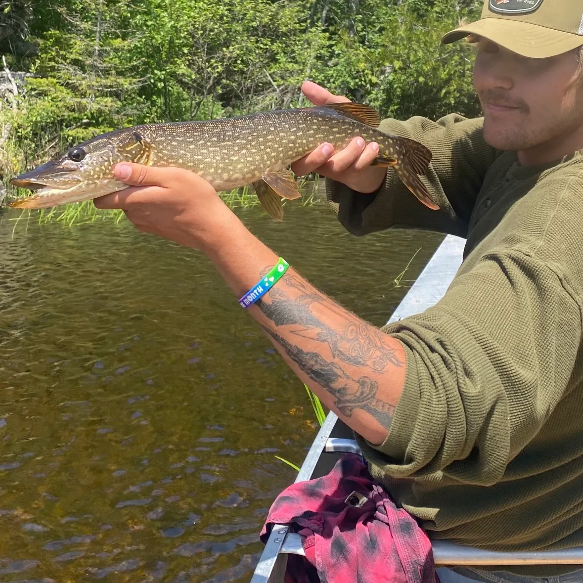 recently logged catches