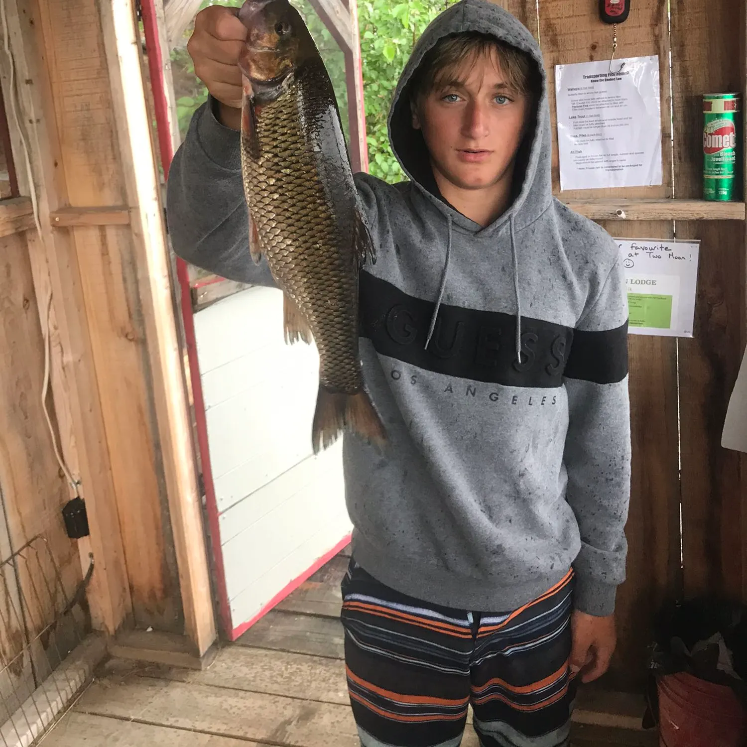 recently logged catches