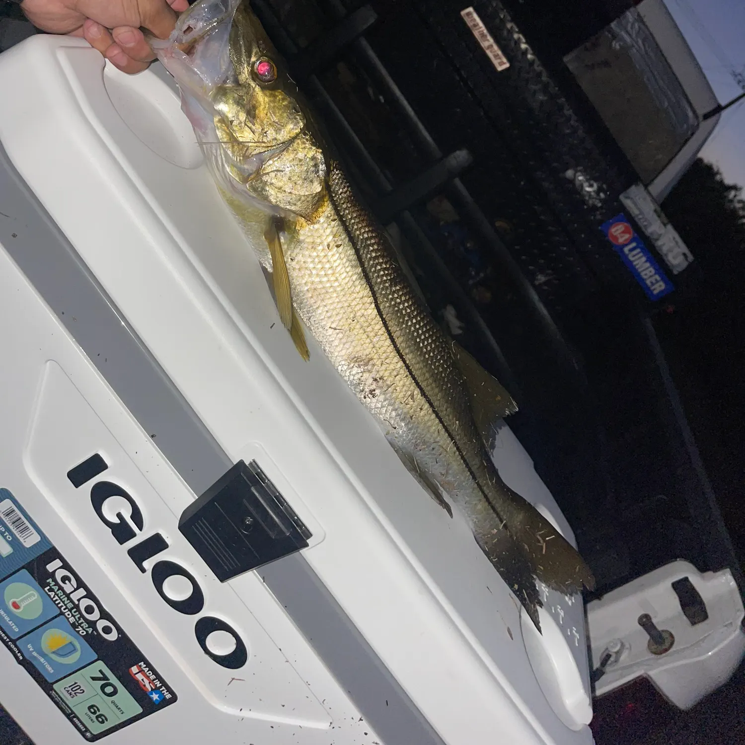 recently logged catches