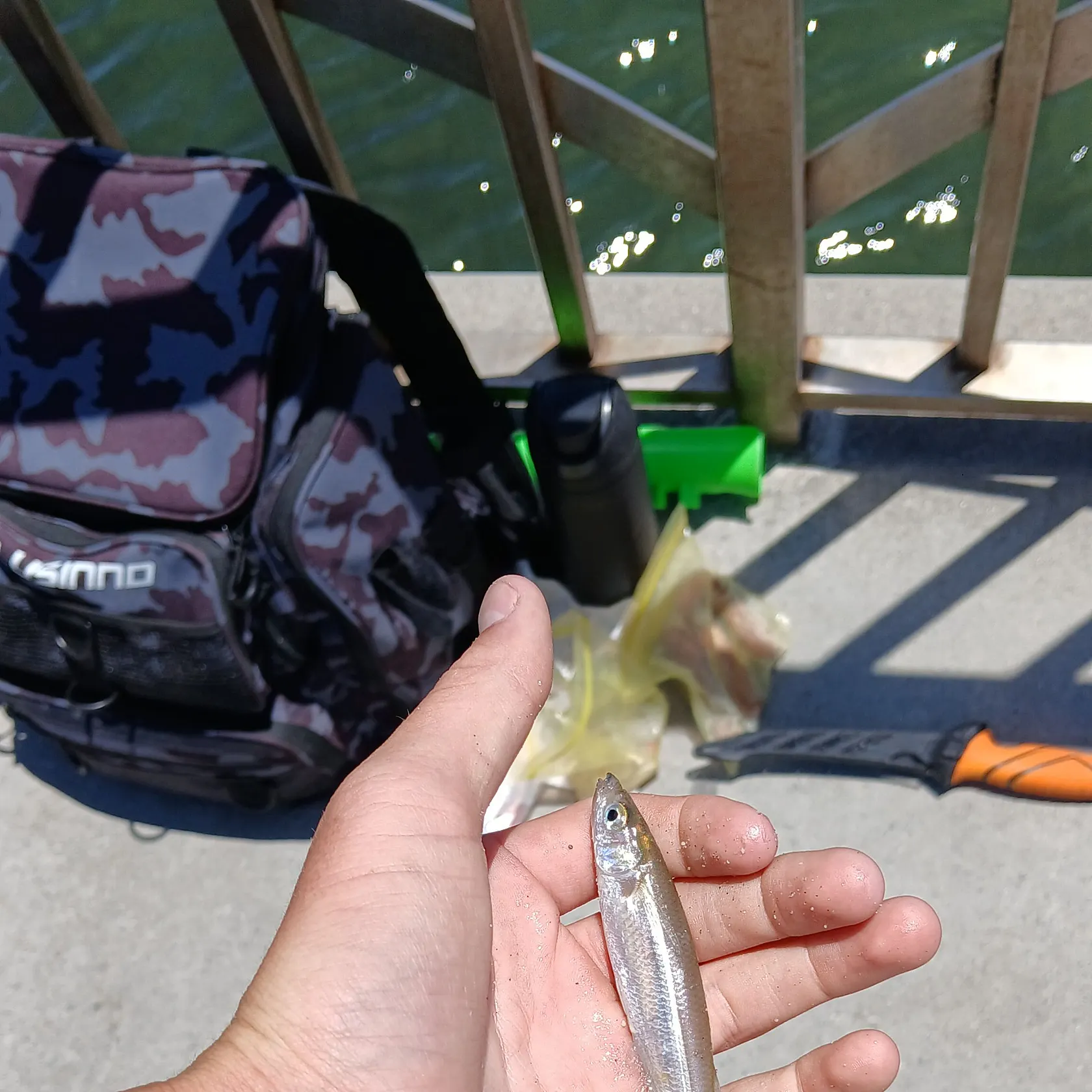 catch
