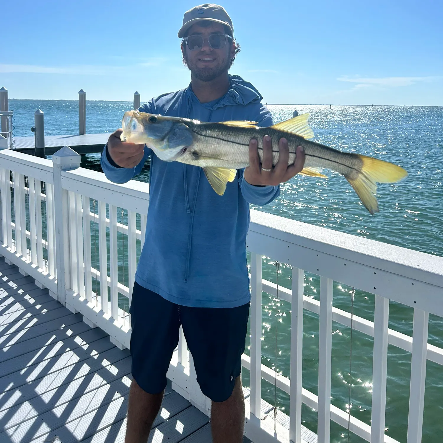 Common snook caught on Fishbrain