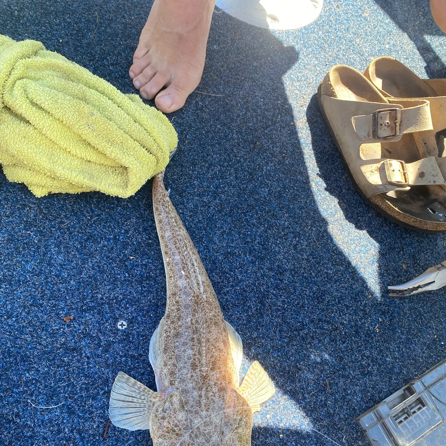 catch