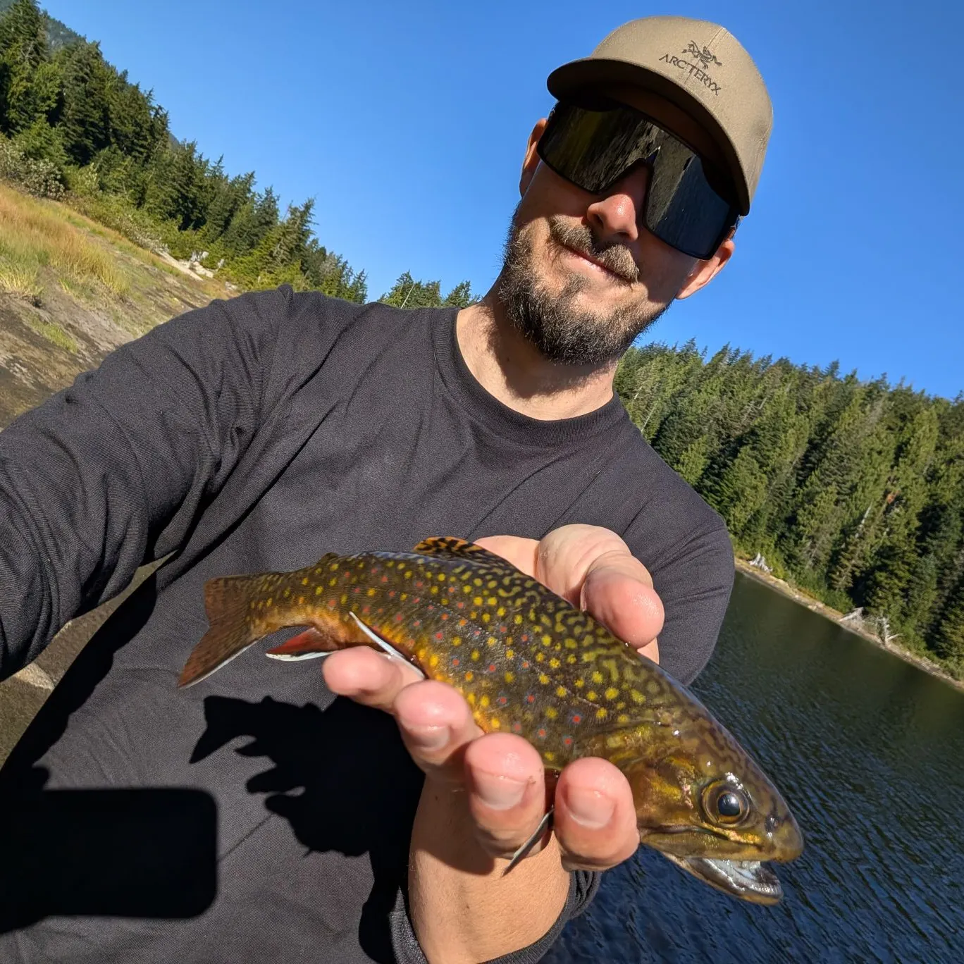 Brook trout caught on Fishbrain