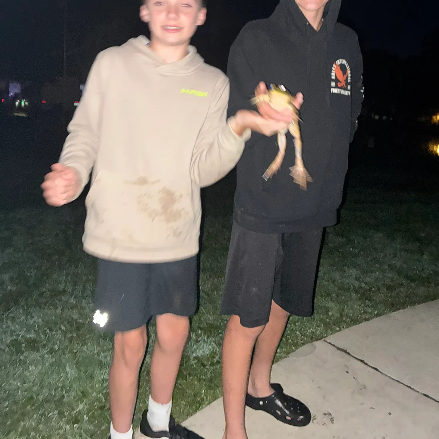 American bullfrog caught on Fishbrain