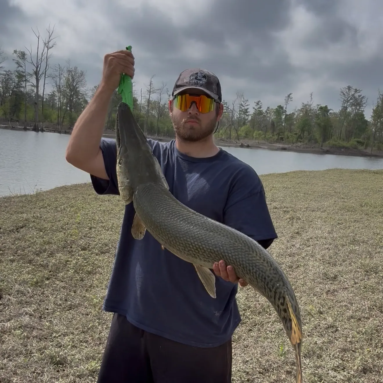 The most recent Alligator gar catches on Fishbrain