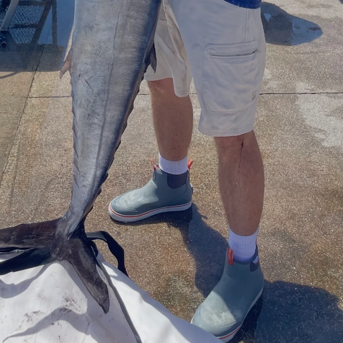 The most recent Wahoo catches on Fishbrain