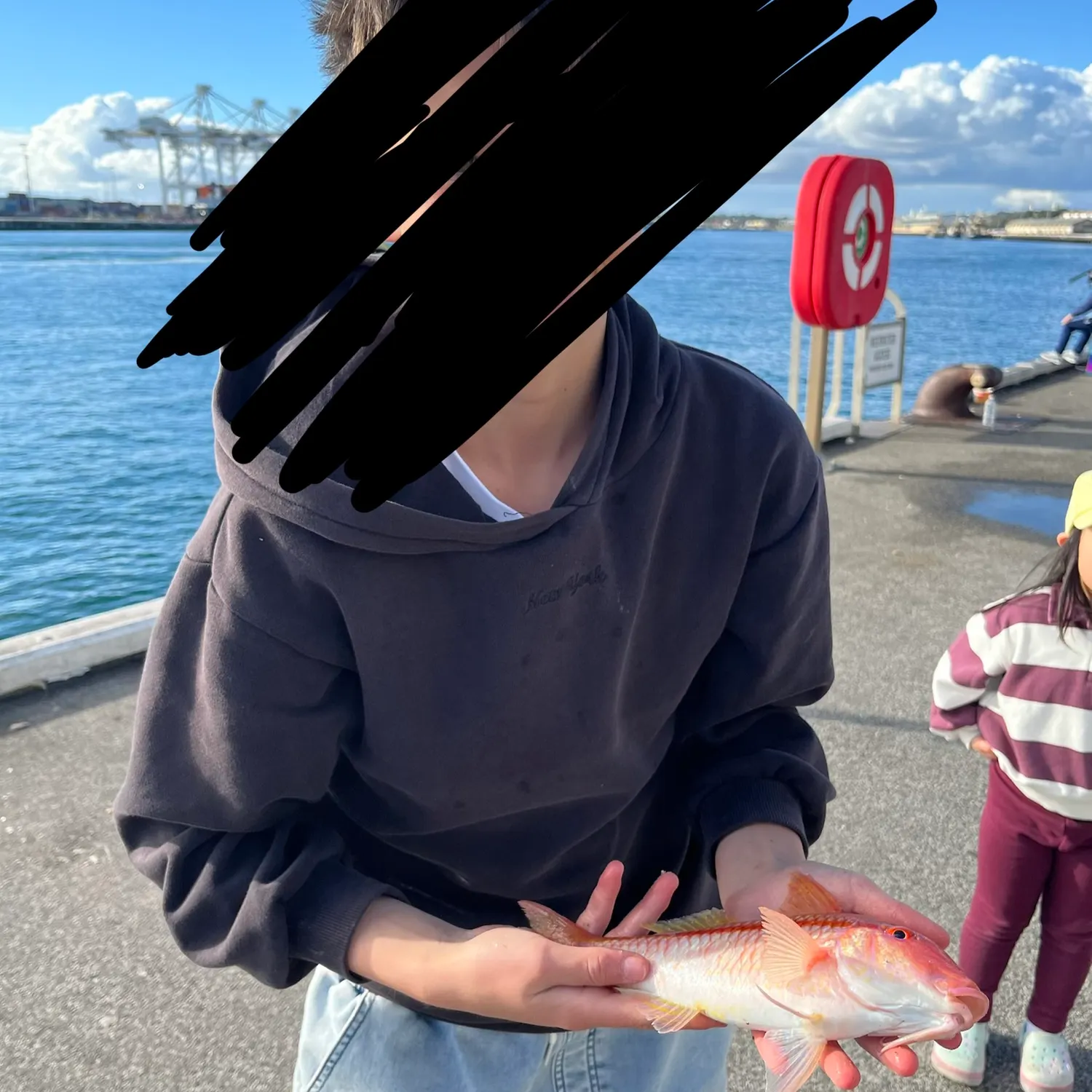 The most recent Manybar goatfish catches on Fishbrain